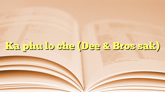 Lyrics for Ka phu lo che (Dee & Bros sak)